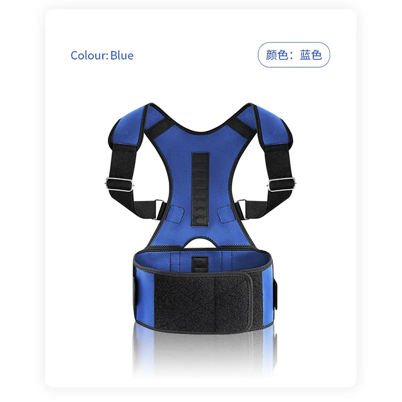 F12 correction belt