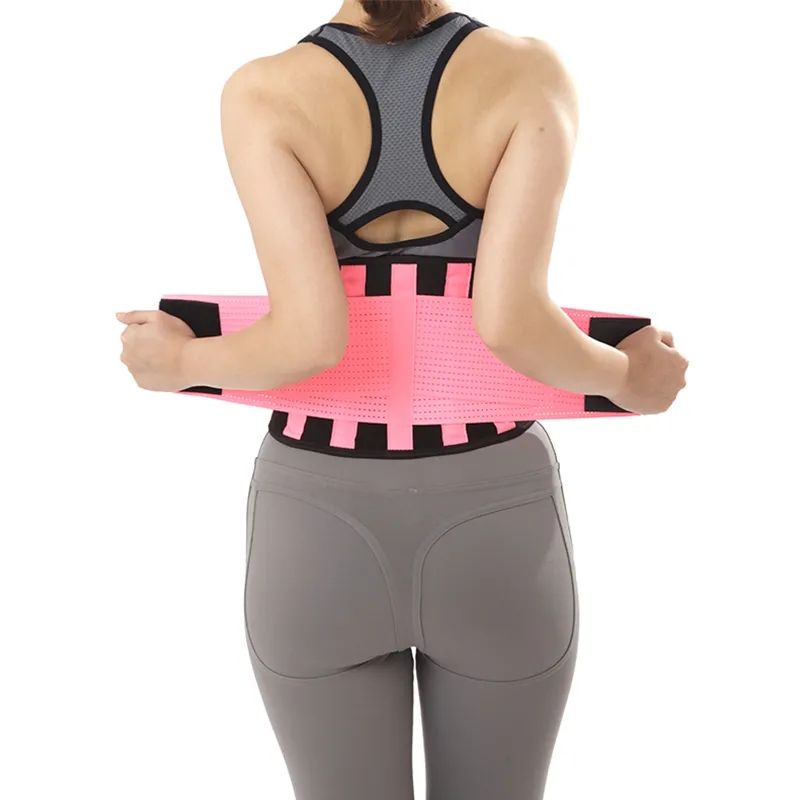 Y003 waist protector